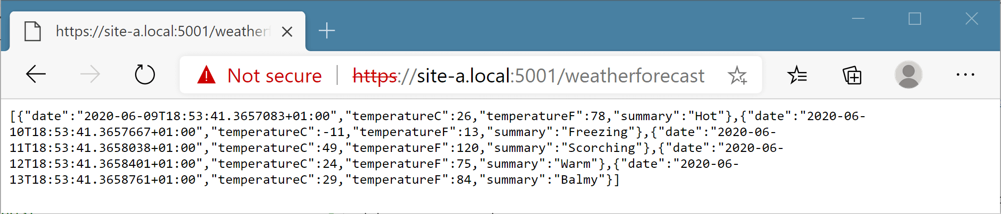 Image of accessing the site using the site-a.local domain