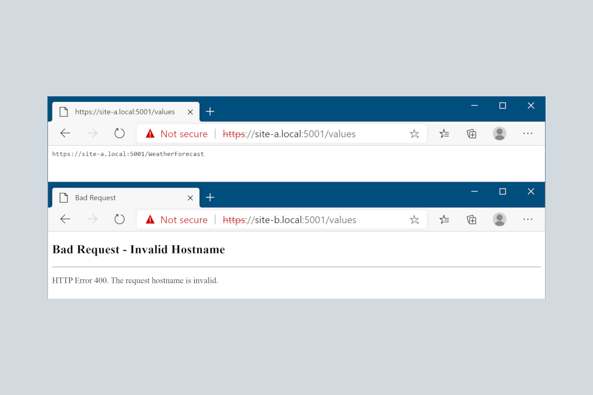 Banner image for Adding host filtering to Kestrel in ASP.NET Core